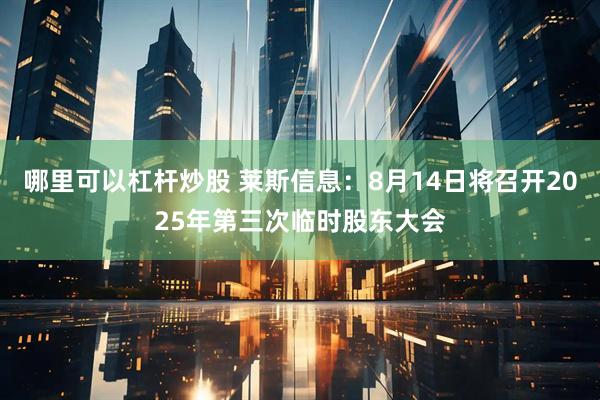 哪里可以杠杆炒股 莱斯信息：8月14日将召开2025年第三次临时股东大会