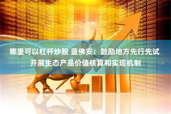 哪里可以杠杆炒股 蓝佛安：鼓励地方先行先试 开展生态产品价值核算和实现机制