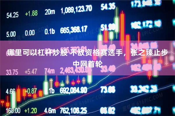 哪里可以杠杆炒股 不敌资格赛选手，张之臻止步中网首轮